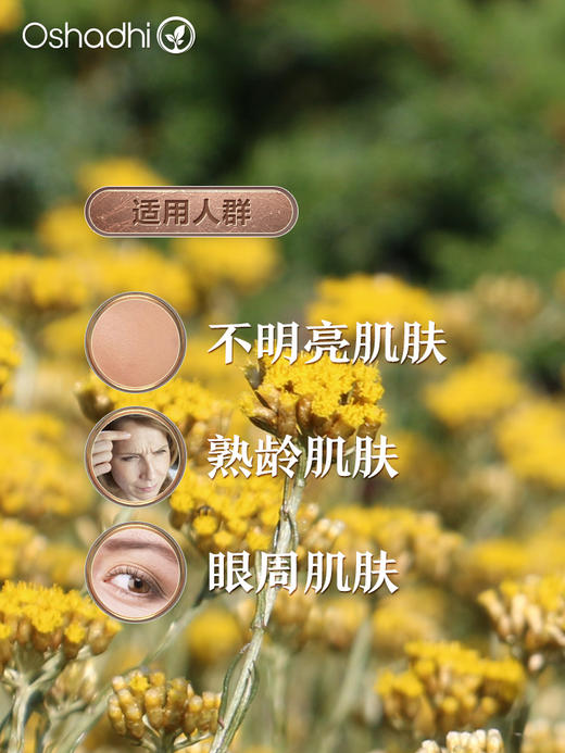 德国O家永久花精油 单方精油 稀释做面部精华 身体按摩油 商品图3