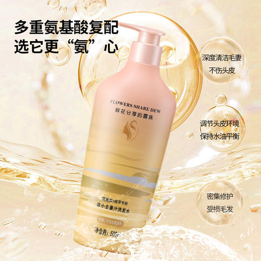 菲小主 姜汁洗发水500ml 商品图1