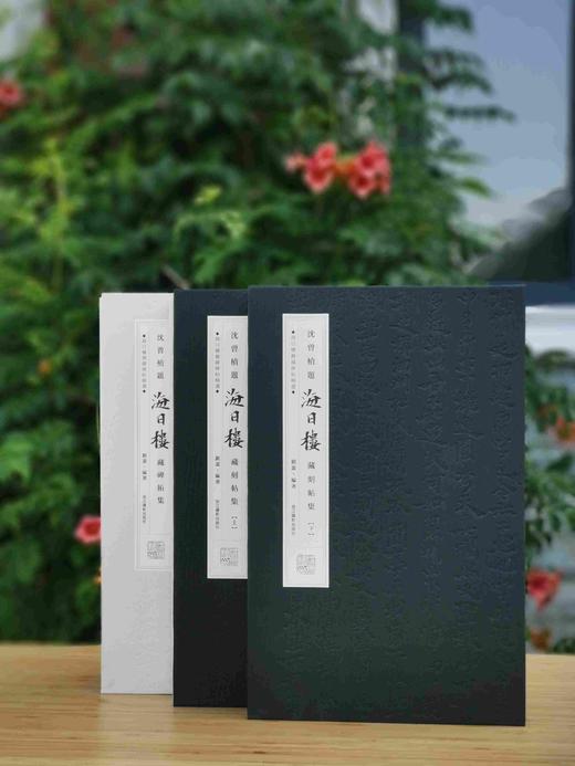 《沈曾植题海日楼藏碑帖集》，沈曾植藏帖，一函三册，小8开精装，约850页，全彩精印，浙江摄影出版社2021年1月一版一印。定价1680，售价458。 商品图3