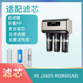 V6、J2605-ROB60(A8)滤芯