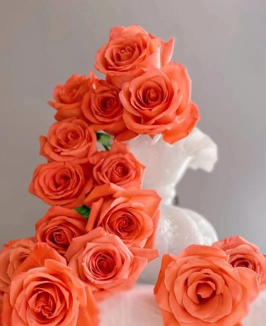 自带光芒的玫瑰花束（拼团） 商品图5