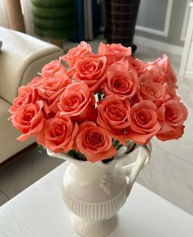 自带光芒的玫瑰花束（拼团）