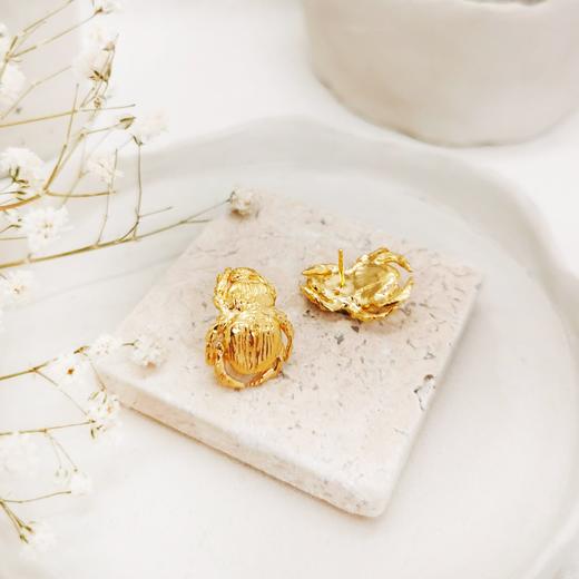 订购8周｜Elise Tsikis-Mata-甲虫 金色 耳环［美国设计师］ 商品图2