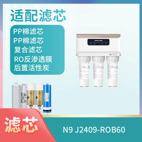 N9、J2409-ROB60滤芯