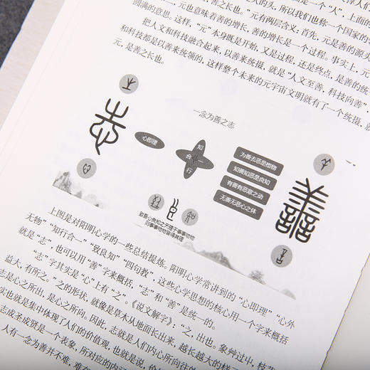 《文化的力量——阳明心学100讲》 商品图4