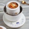 小熊（Bear） 电炖盅 电炖锅 燕窝炖盅隔水炖养生煲自动泡发阿胶参材炖盅 DDZ-C06A1 高端燕窝炖盅 商品缩略图2