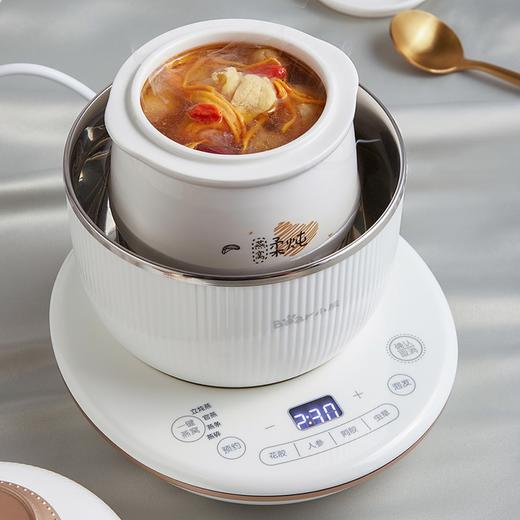 小熊（Bear） 电炖盅 电炖锅 燕窝炖盅隔水炖养生煲自动泡发阿胶参材炖盅 DDZ-C06A1 高端燕窝炖盅 商品图2