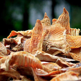 杞冠臻选 | 黄山 笋尖 无农药笋干 一份150克