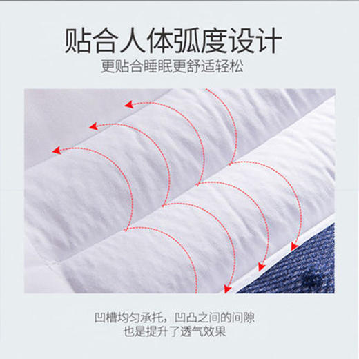 【日用百货】-决明子磁石枕头荞麦成人枕 商品图3