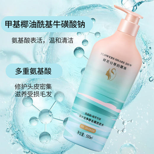 菲小主 净舒去屑洗发水500ml 商品图2