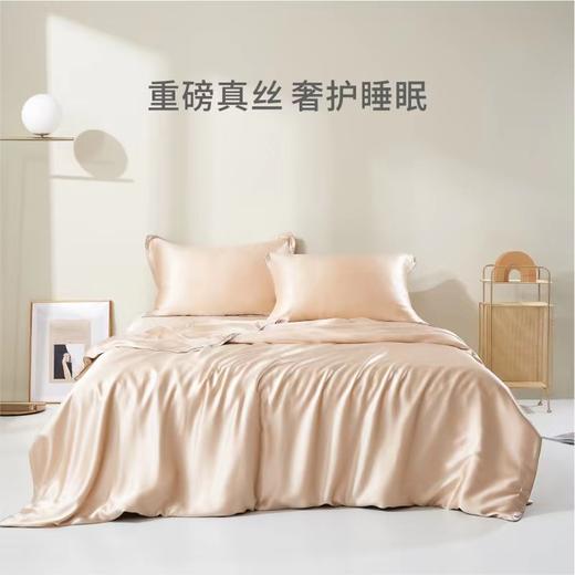 太湖雪纯色真丝四件套 商品图1