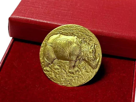 【预定】素描之神丢勒代表作《犀牛》镀金银币 商品图4
