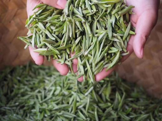 强烈推荐！限量！白毫如霜银似雪，素洁晶莹贵比金——2023年福鼎大洋山毫彩头白毫银针 商品图4