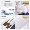 【日用百货】-决明子磁石枕头荞麦成人枕 商品缩略图1