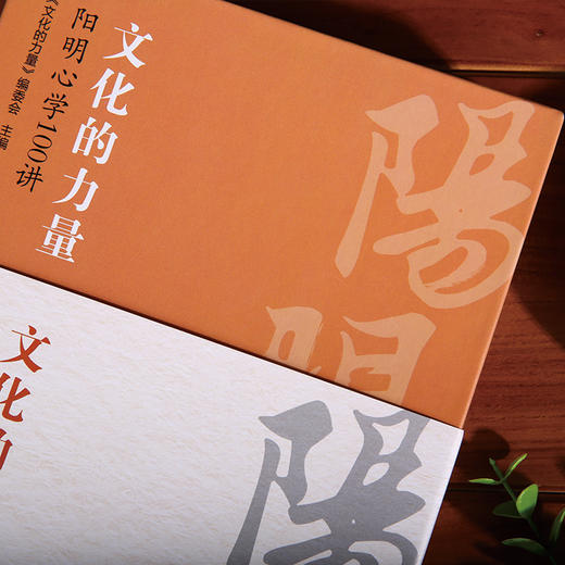 《文化的力量——阳明心学100讲》 商品图3