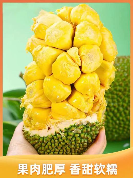榴莲蜜海南原产地直发不打药不催熟8-14斤果 商品图0