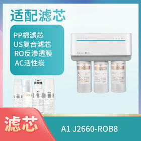 A1、J2660-ROB8滤芯