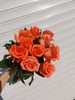 自带光芒的玫瑰花束（拼团） 商品缩略图2