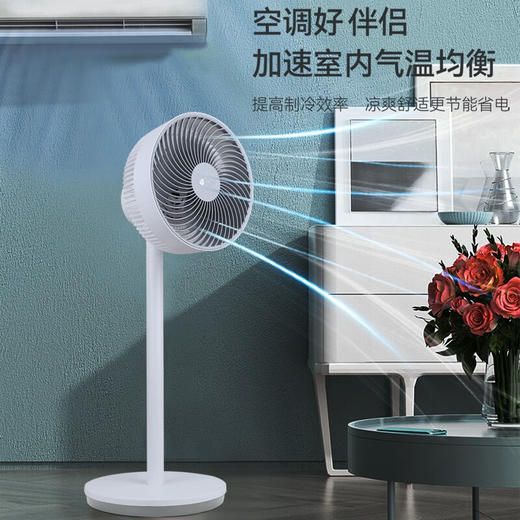 艾青春空气循环扇家用电风扇直流低噪台地两用式摇头落地扇BW-DFS2102 白色 商品图7