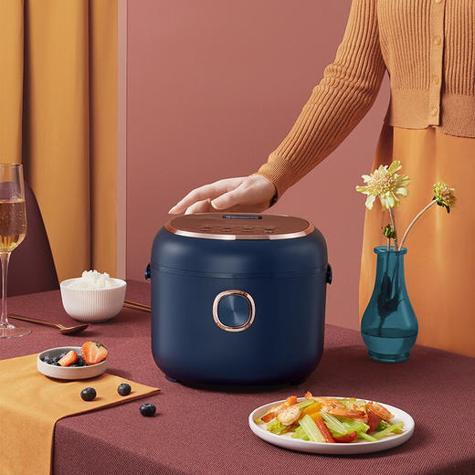 小熊（Bear） 电饭煲 智能预约不粘锅内胆快煮柴火饭汤粥 迷你小2-3人家用多功能电饭锅 2升2-3人 DFB-P20N5蓝色 商品图7