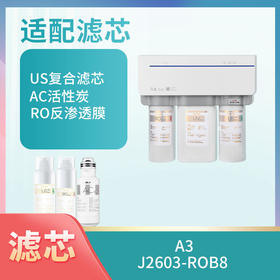 A3、J2603-ROB8滤芯