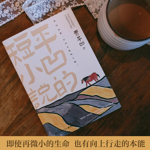 平凹的短小说 商品图2