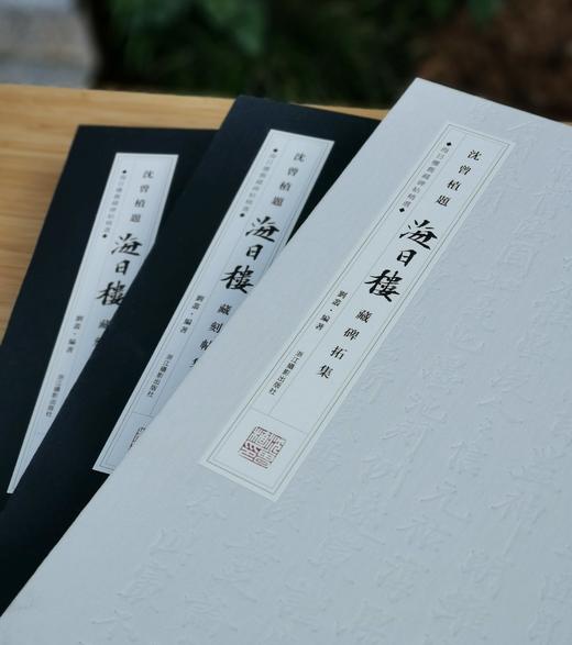 《沈曾植题海日楼藏碑帖集》，沈曾植藏帖，一函三册，小8开精装，约850页，全彩精印，浙江摄影出版社2021年1月一版一印。定价1680，售价458。 商品图4
