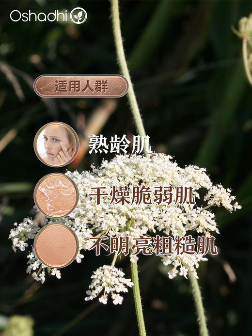 德国O家胡萝卜籽 单方精油 香薰精油 稀释做面部精华油 按摩油 商品图2