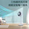 艾青春空气循环扇家用电风扇直流低噪台地两用式摇头落地扇BW-DFS2102 白色 商品缩略图5