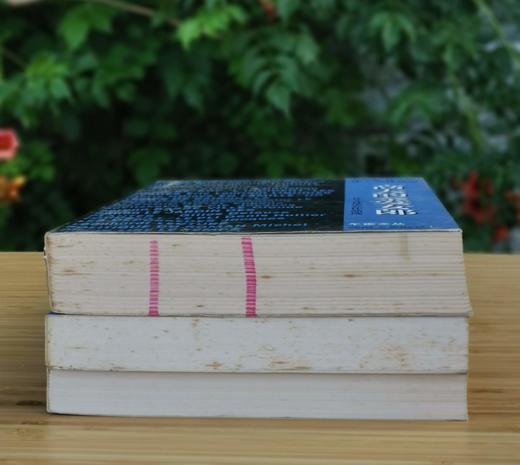 午夜文丛：《高大的金发女郎》《望远镜：新小说新一代作家作品选》《史前史:新小说新一代作家作品选2》，[法]让.艾什诺兹、埃里克.舍维拉尔、帕.德维尔等著，湖南文艺出版社1999-2002年一版一印， 商品图4