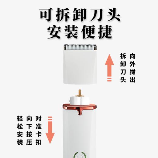 【宠物用品】多功能宠物剃毛器电动理发器狗狗电推剪磨甲器长毛剪毛器猫咪指甲 商品图3