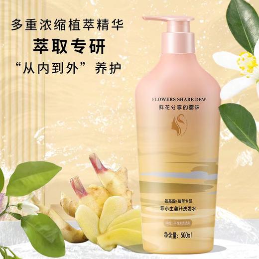 菲小主 姜汁洗发水500ml 商品图3