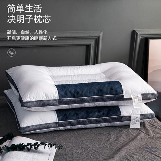 【日用百货】-决明子磁石枕头荞麦成人枕 商品图0