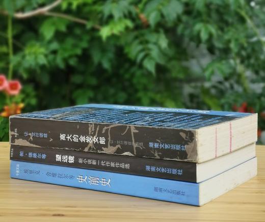 午夜文丛：《高大的金发女郎》《望远镜：新小说新一代作家作品选》《史前史:新小说新一代作家作品选2》，[法]让.艾什诺兹、埃里克.舍维拉尔、帕.德维尔等著，湖南文艺出版社1999-2002年一版一印， 商品图2