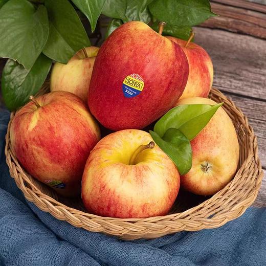 索尼娅苹果 商品图0