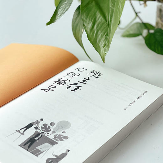 班主任心理辅导 班级辅导 上海学校心理健康教育名师工作室王洪明工作室团队撰写 案例全部取自一线 商品图2