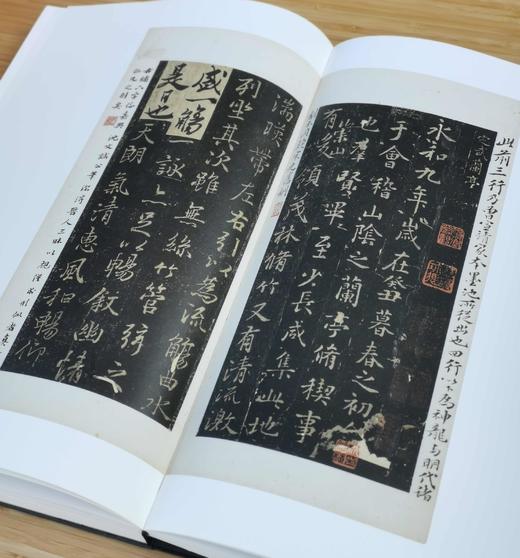 《沈曾植题海日楼藏碑帖集》，沈曾植藏帖，一函三册，小8开精装，约850页，全彩精印，浙江摄影出版社2021年1月一版一印。定价1680，售价458。 商品图8
