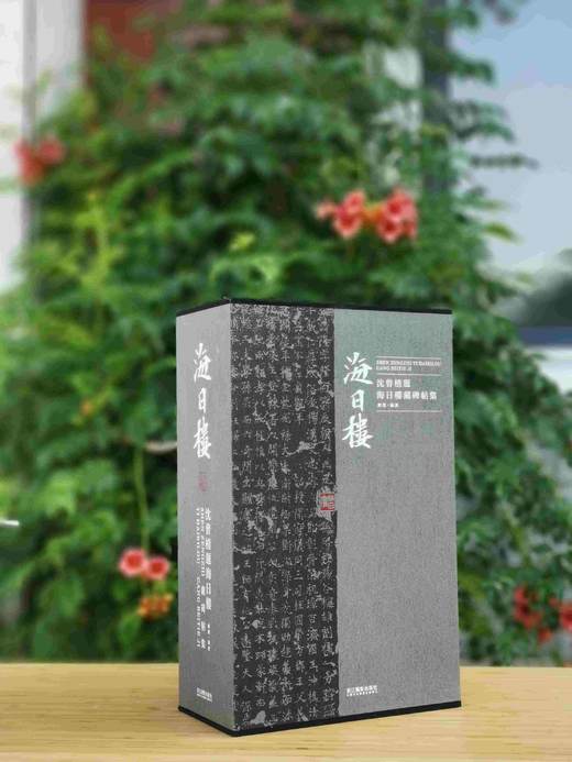《沈曾植题海日楼藏碑帖集》，沈曾植藏帖，一函三册，小8开精装，约850页，全彩精印，浙江摄影出版社2021年1月一版一印。定价1680，售价458。 商品图1