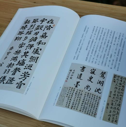 《沈曾植题海日楼藏碑帖集》，沈曾植藏帖，一函三册，小8开精装，约850页，全彩精印，浙江摄影出版社2021年1月一版一印。定价1680，售价458。 商品图13