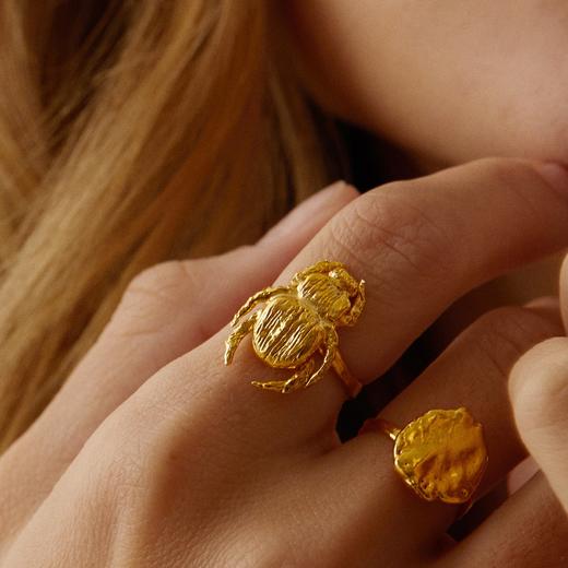 订购8周｜Elise Tsikis-IEPA-甲虫 金色 戒指［美国设计师］ 商品图0