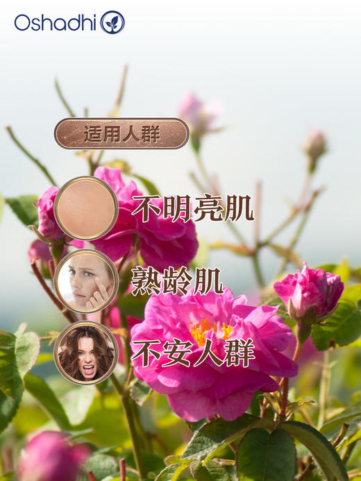 德国O家大马士革玫瑰精油/原精3ml 单方精油 稀释做面部精华油 身体按摩油 商品图1