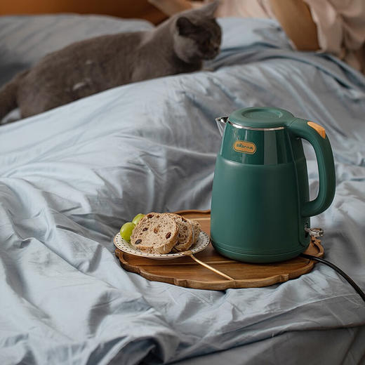 小熊（Bear） 烧水壶电水壶保温电热水壶开水壶1.5L大容量 ZDH-Q15E1 商品图3