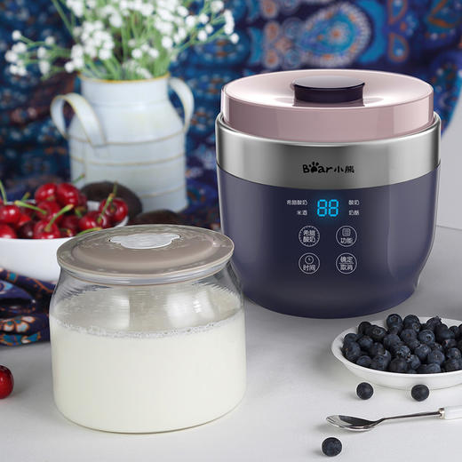 小熊（Bear） 酸奶机 全自动米酒机奶酪机自制希腊酸奶机 家用酸奶机 1升2+4内胆 SNJ-C10T1 商品图5