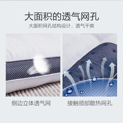 【日用百货】-决明子磁石枕头荞麦成人枕 商品图2