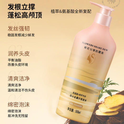 菲小主 姜汁洗发水500ml 商品图2