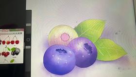 砍价0元购测试勿动