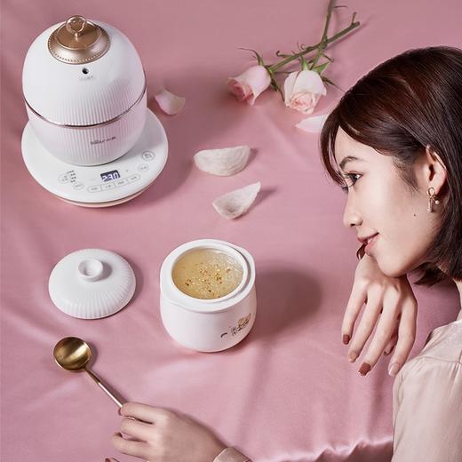 小熊（Bear） 电炖盅 电炖锅 燕窝炖盅隔水炖养生煲自动泡发阿胶参材炖盅 DDZ-C06A1 高端燕窝炖盅 商品图4