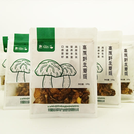TZNT-高原野生蘑菇100克/袋【大宗供货请联系客服】 商品图0