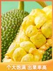 榴莲蜜海南原产地直发不打药不催熟8-14斤果 商品缩略图1