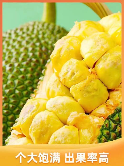 榴莲蜜海南原产地直发不打药不催熟8-14斤果 商品图1